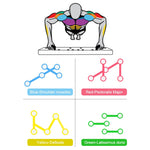 9 in 1 Push Up Rack Board Men Women Comprehensive Fitness Exercise Stands Body Building Training System Sport Home Gym