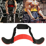 Arm Blaster for Biceps and Triceps